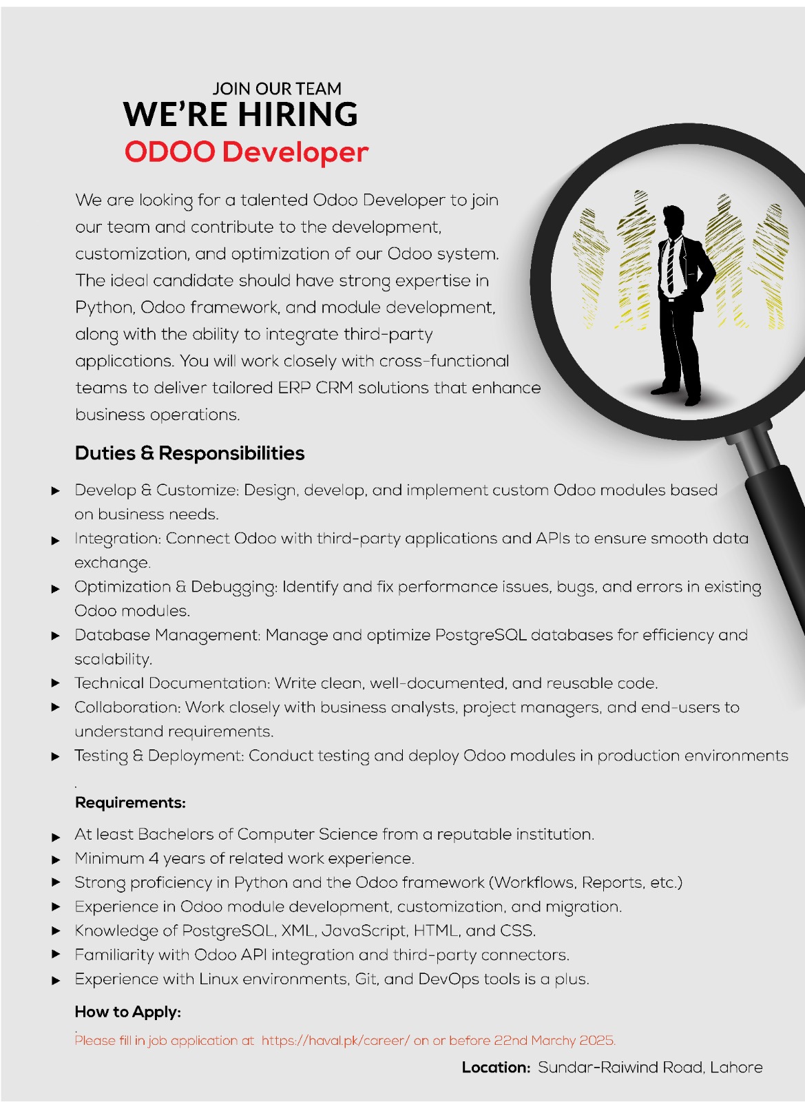 Odoo Developer